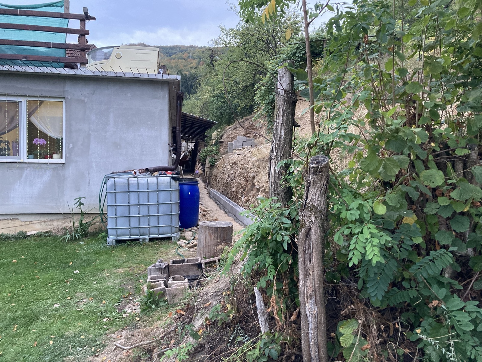 Fotografie reală · Din curte, de lângă gard