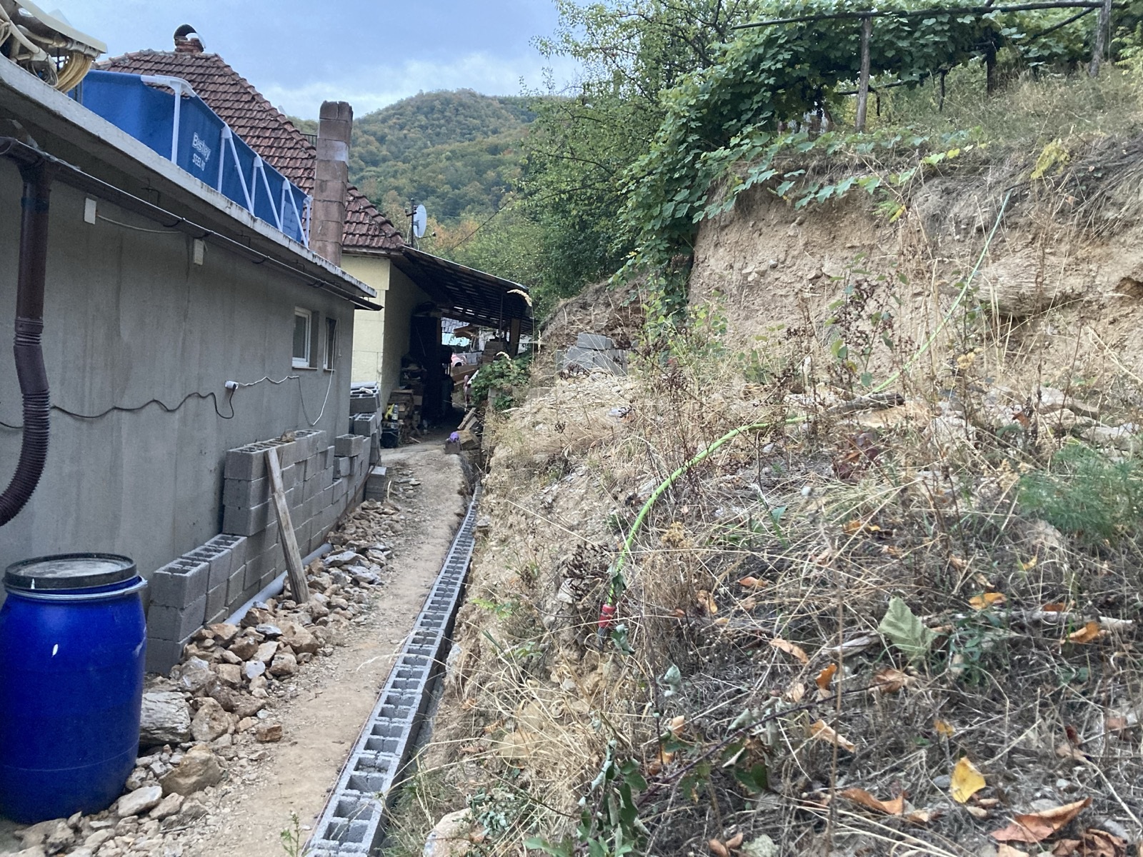 Fotografie reală · Aleea, spre șopron